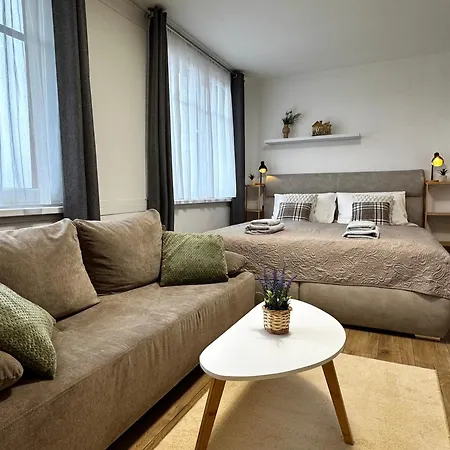 Apartamento Smarty Choice Living With Free Parking - Vondrousova Praga